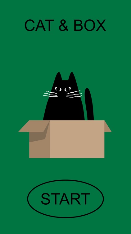 CAT & BOX