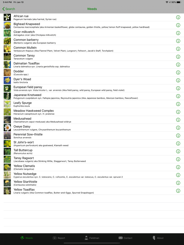 Alberta Fieldmen  AAAF