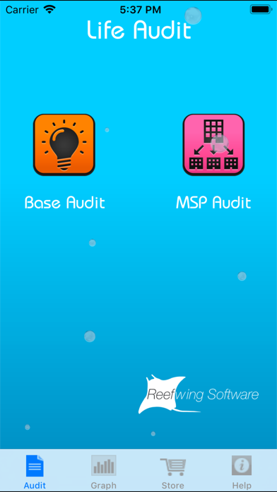 Screenshot #2 pour Life Audit