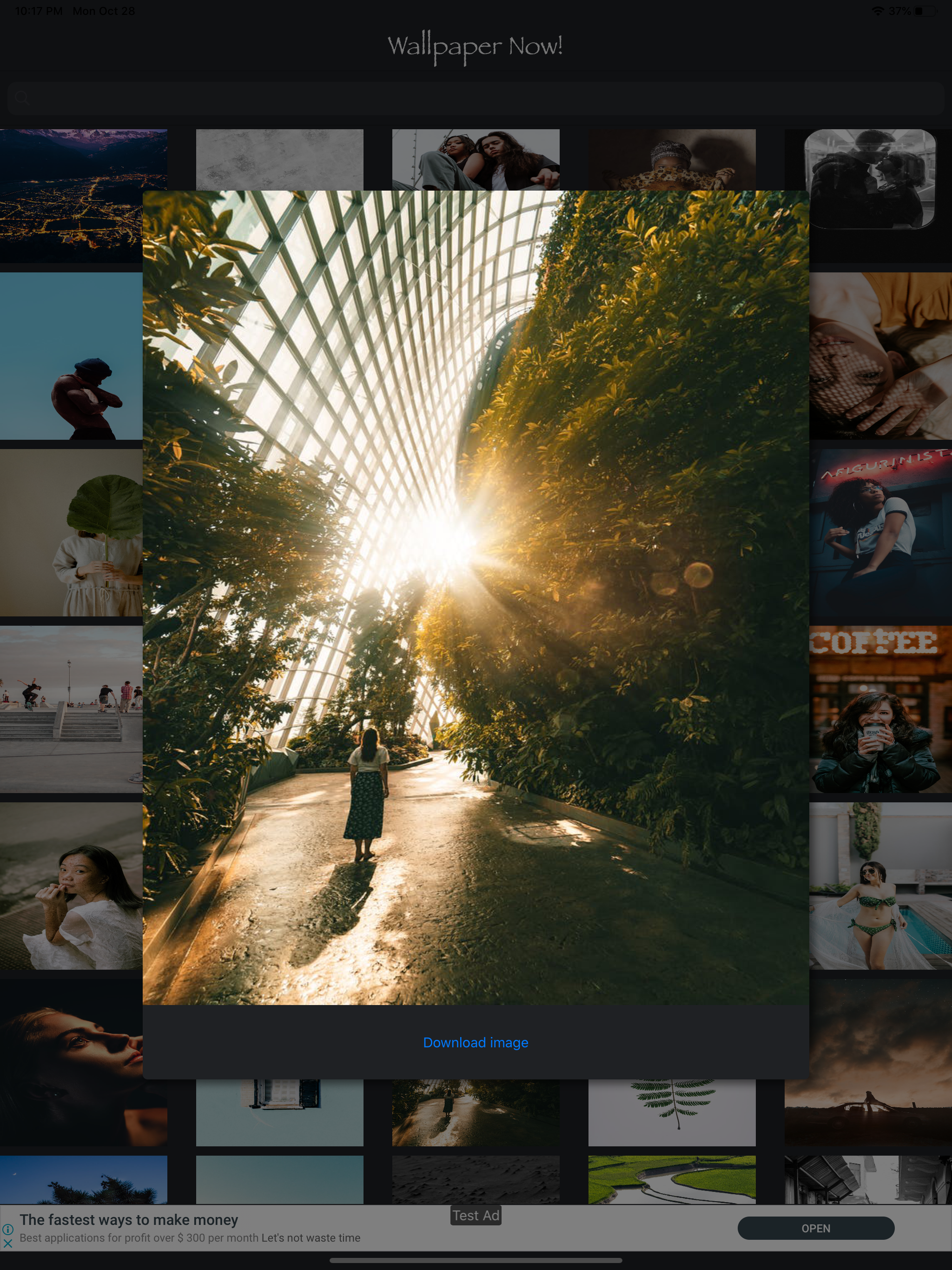 Wallpaper Now!