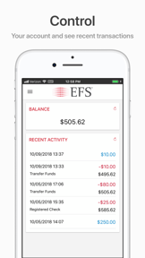 EFS PayControl screenshot
