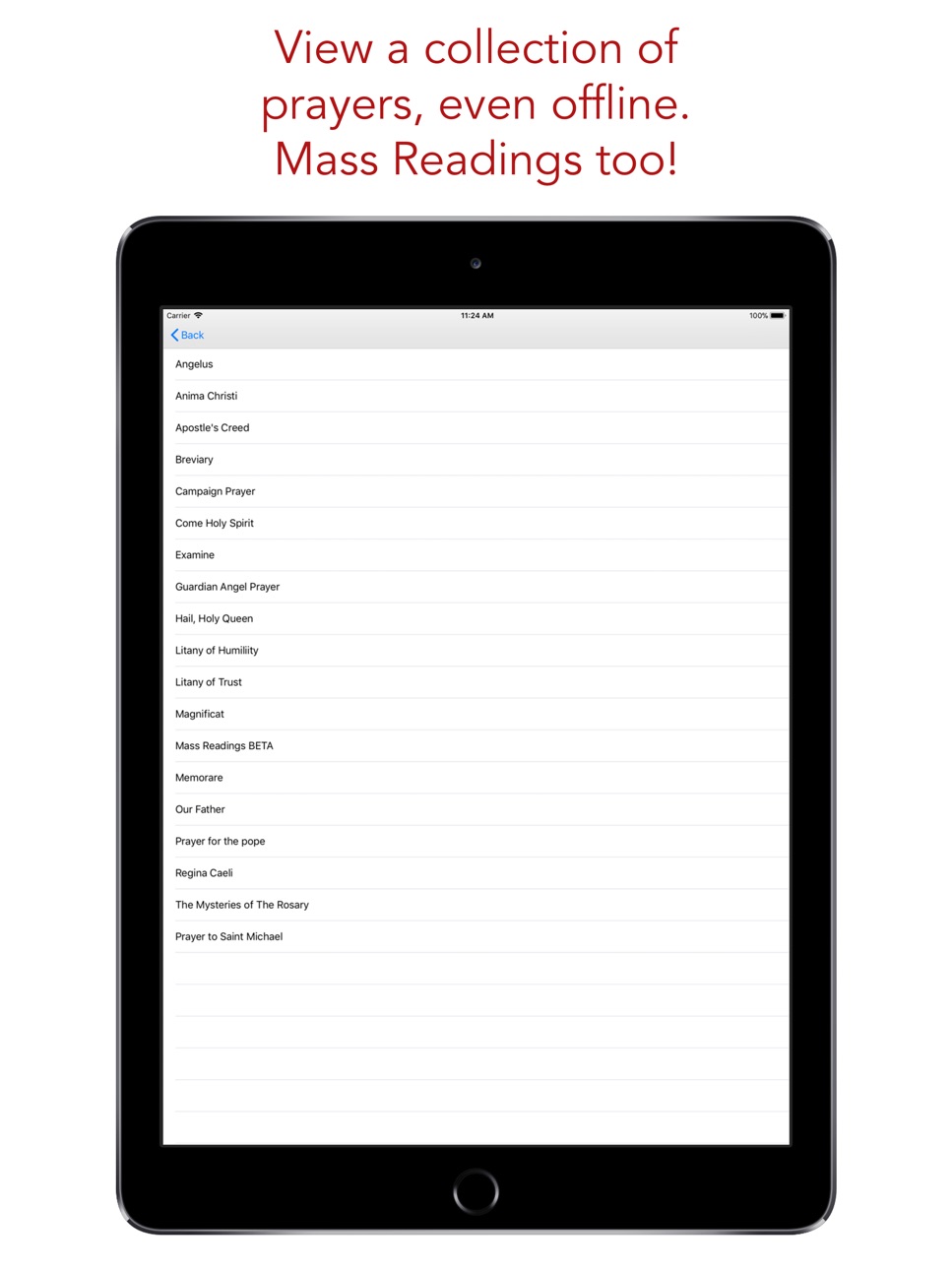 iPad screenshot