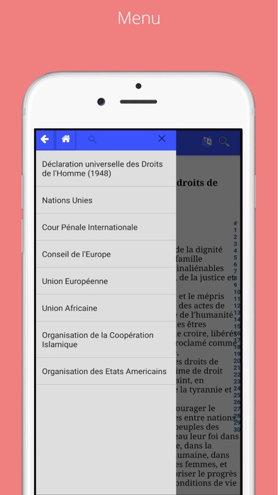 Screenshot #1 pour MobileLaw Droits de l'Homme
