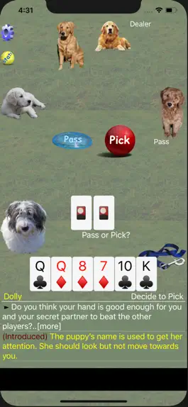 Game screenshot K9 Sheepshead: Schafkopf Cards hack