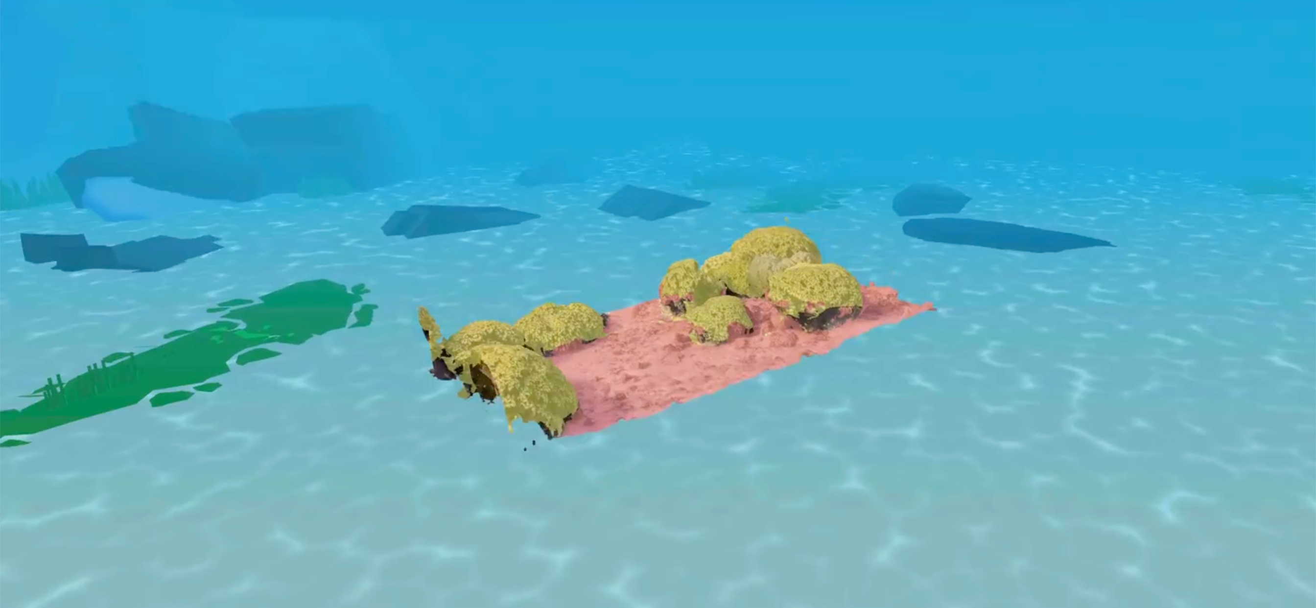 NASA NeMO-Net