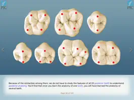 Game screenshot PTC Training hack