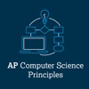 AP Computer Science Quiz icon