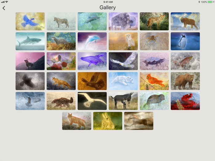 Animal Totems Empowerment Deck