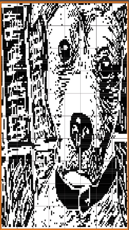 No.6 Pictures Nonogram/Picross