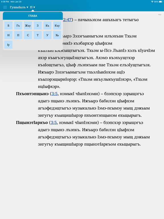 Пегъымбарэу Даниел iPad screenshot