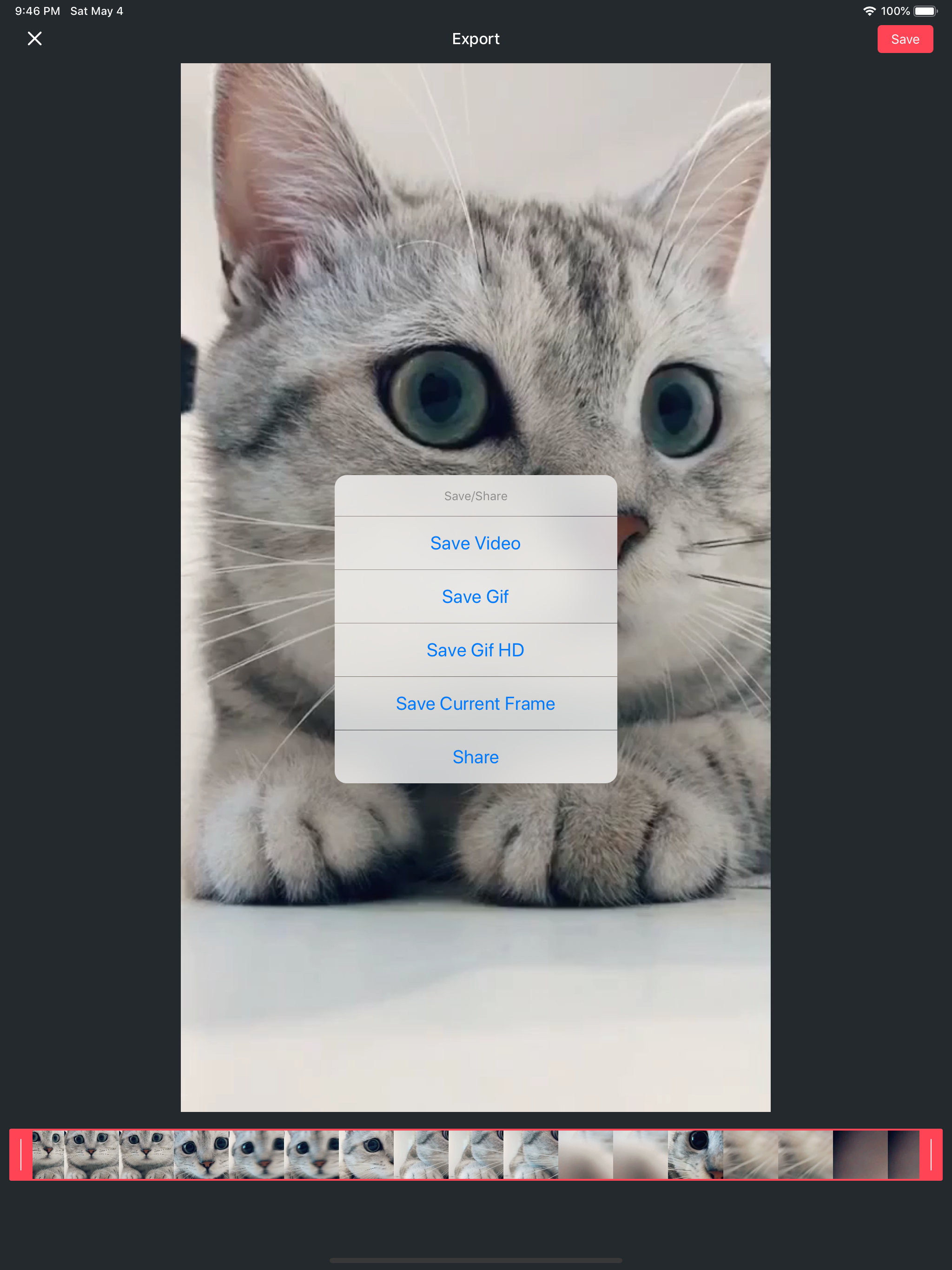 Live Converter - Live to Gif screenshot 5