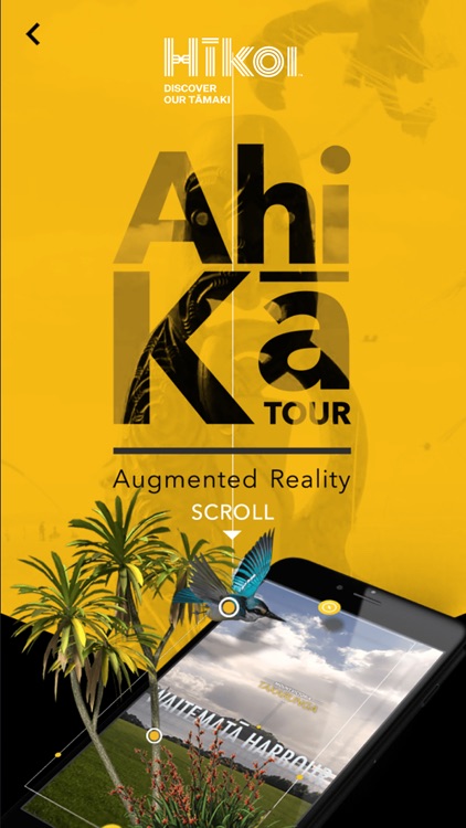 Auckland Virtual Tours