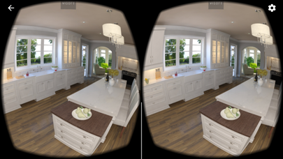 ViSoft VR Screenshot