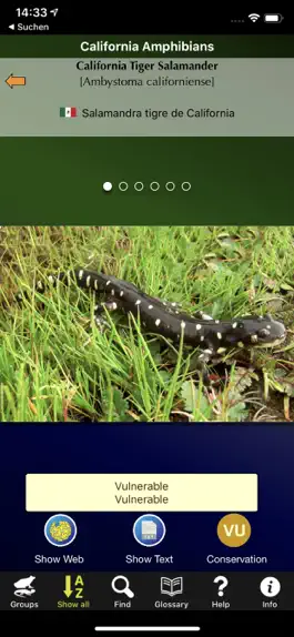 Game screenshot California Amphibians mod apk