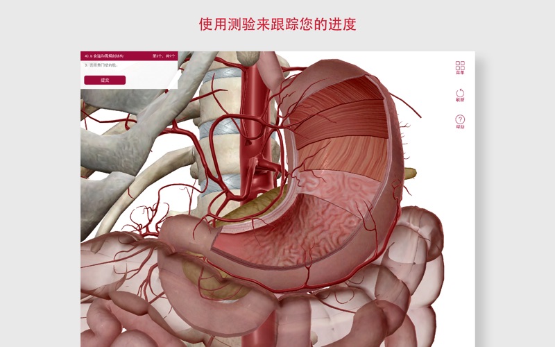 解剖和生理学