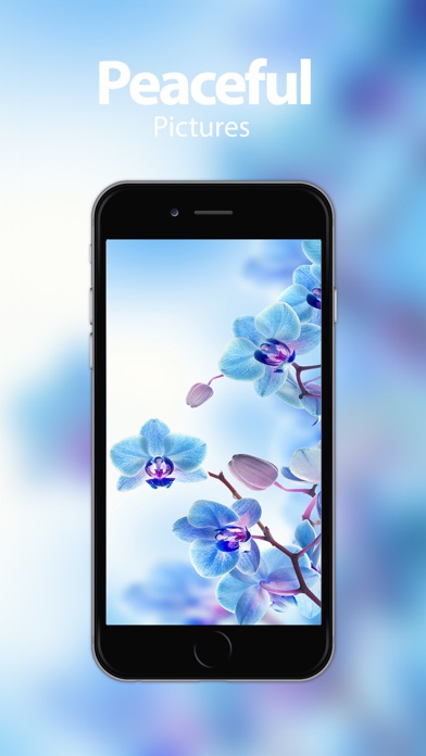 Screenshot #3 pour Nature Wallpapers & Themes