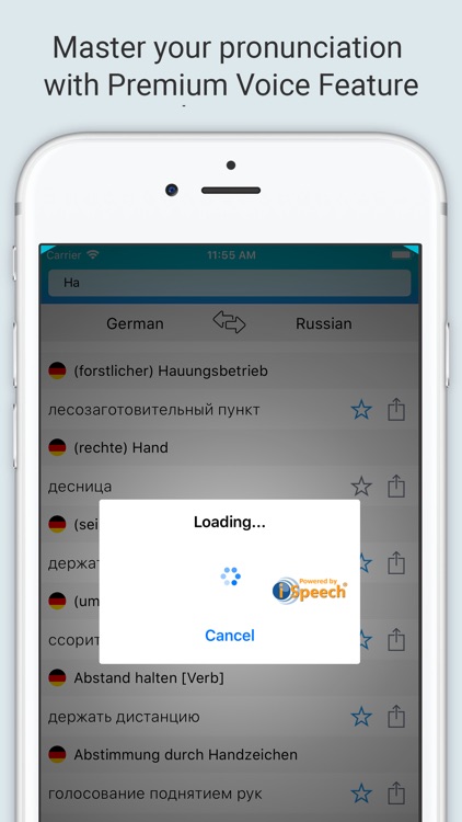 German Russian Dictionary +