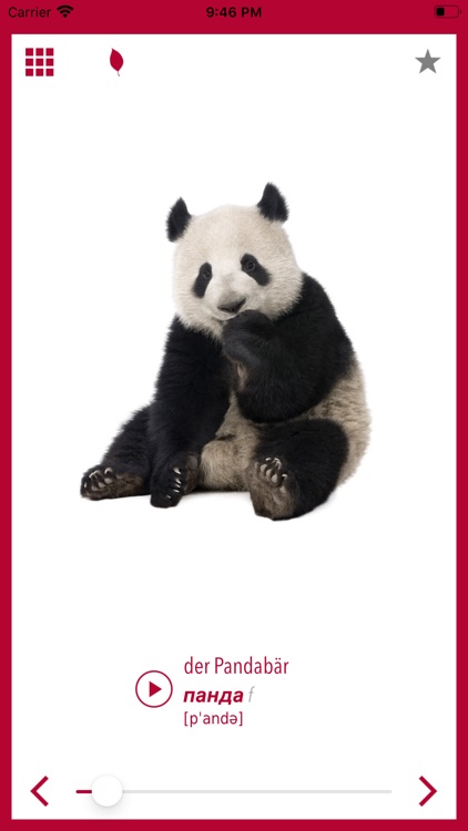 Picture Dictionary Russian