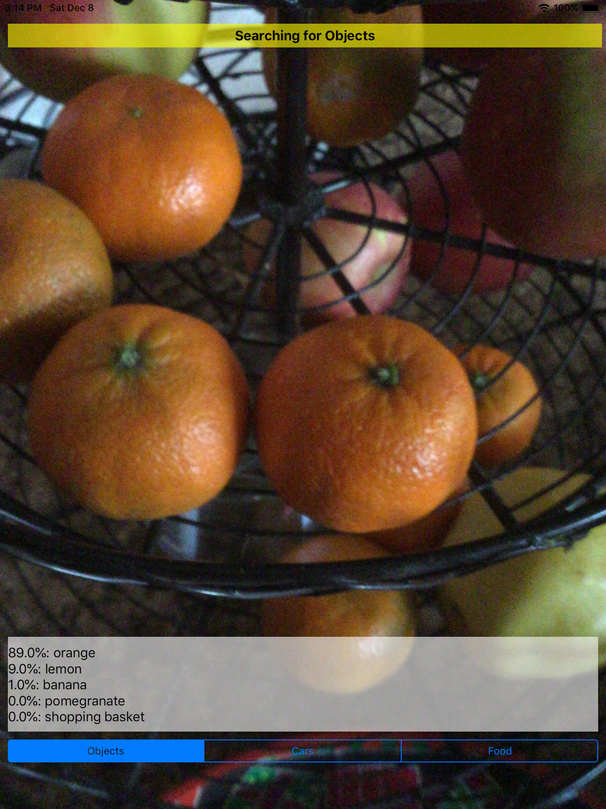 ML Image Identifier Lite