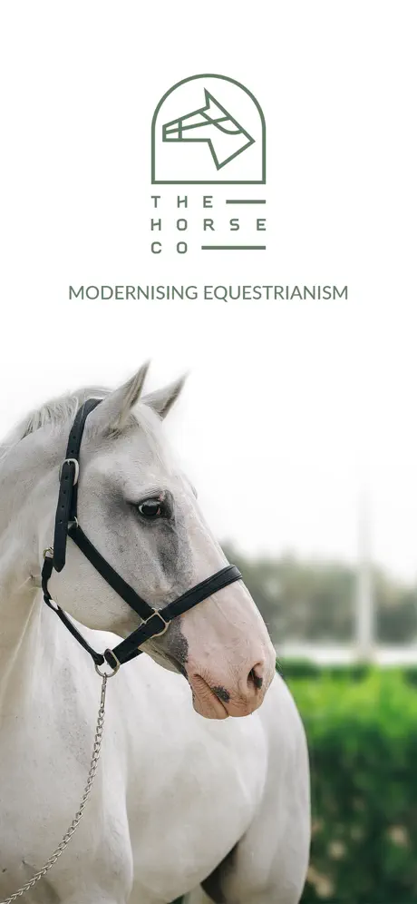 The Horse Co