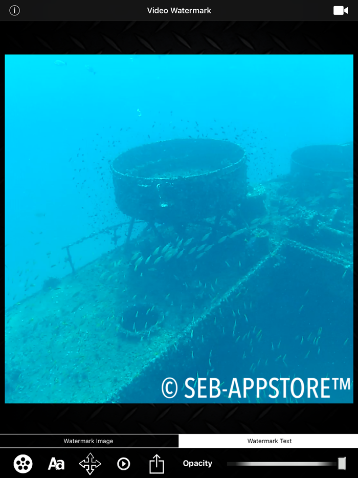 Video Watermark