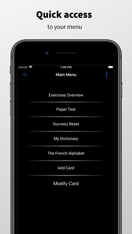 M&I French Vocabulary Trainer
