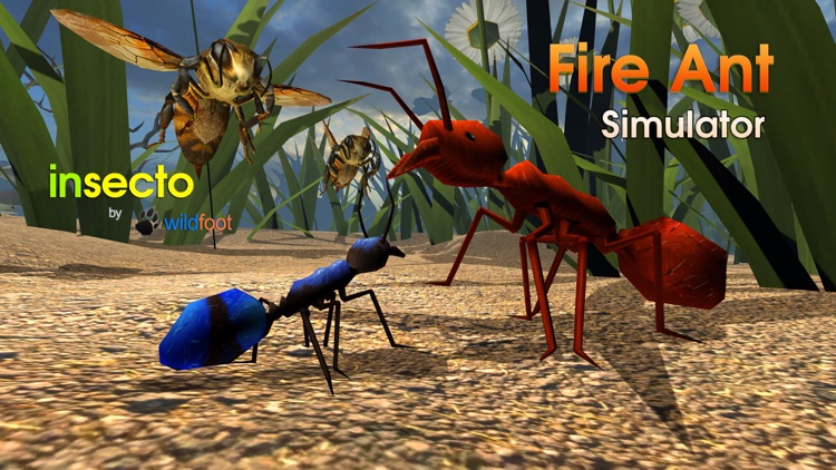 Fire Ant Simulator screenshot-0