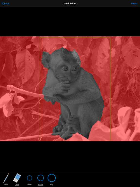 HDR Portrait iPad screenshot 7 - Photo & Video app