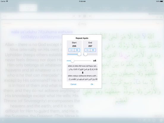 Islam Pro Quran - 2019 iPad app afbeelding 5