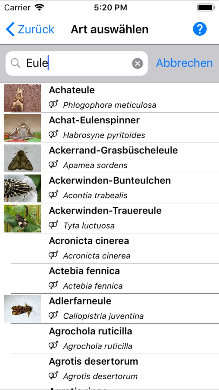 iPhone screenshot
