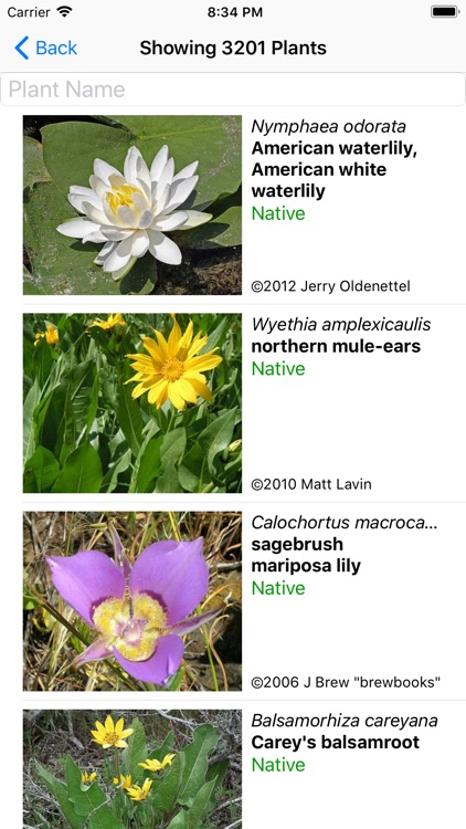 Washington Wildflower Search