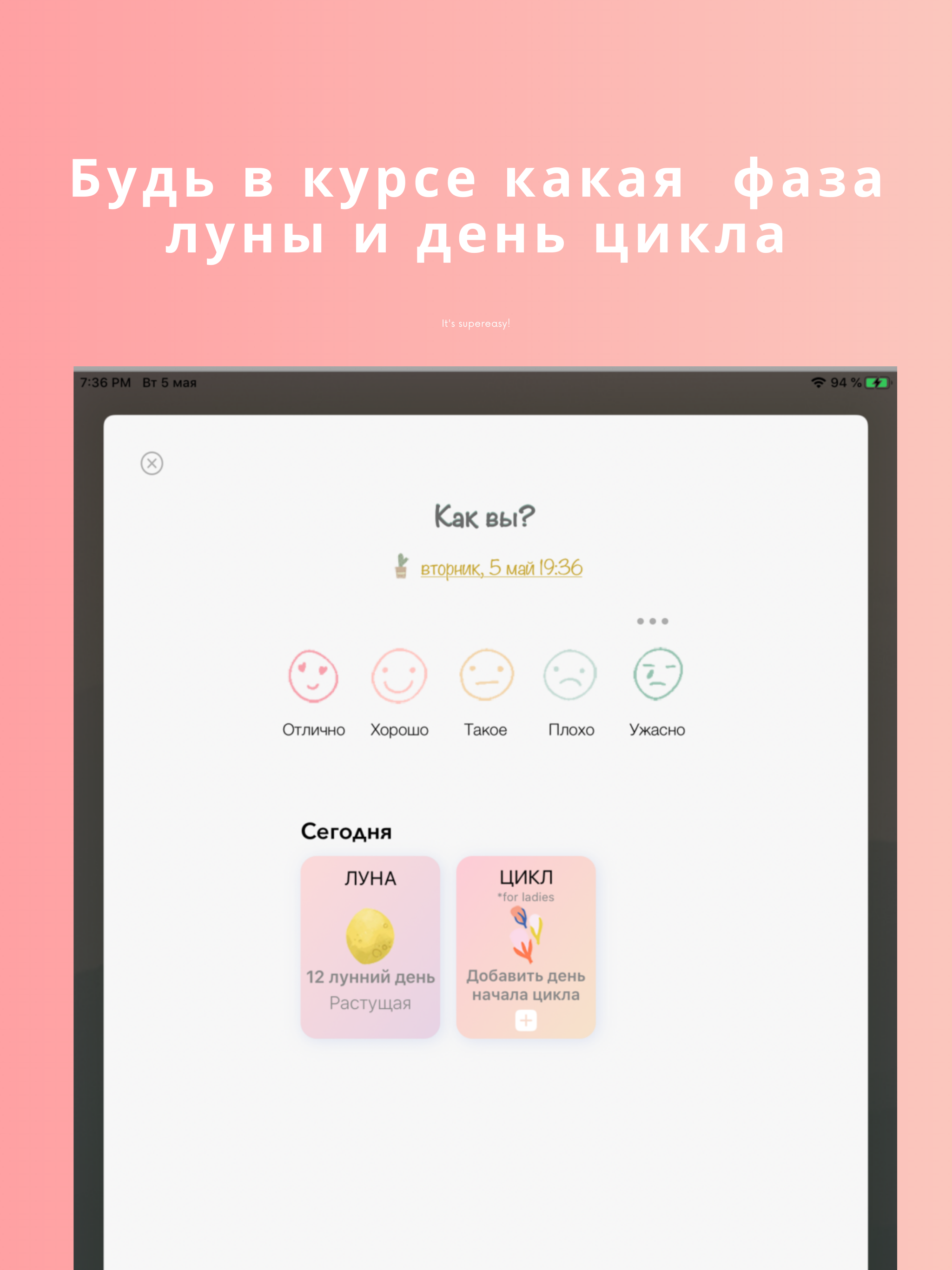 2Day Diary: Mood&Moon&Period screenshot 12