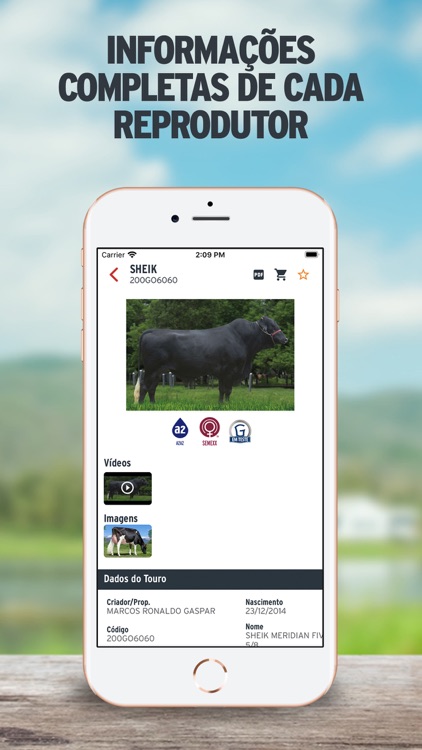 Semex Brasil screenshot-7