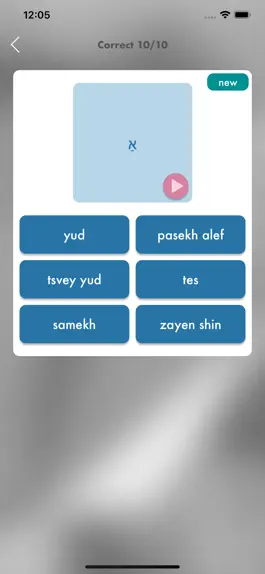 Game screenshot Yiddish Quiz Now apk