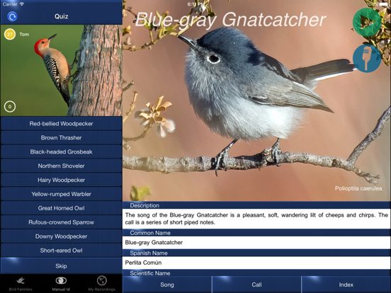 Bird Song Id USA Automatic Recognition and Reference - Songs and Calls of America screenshot
