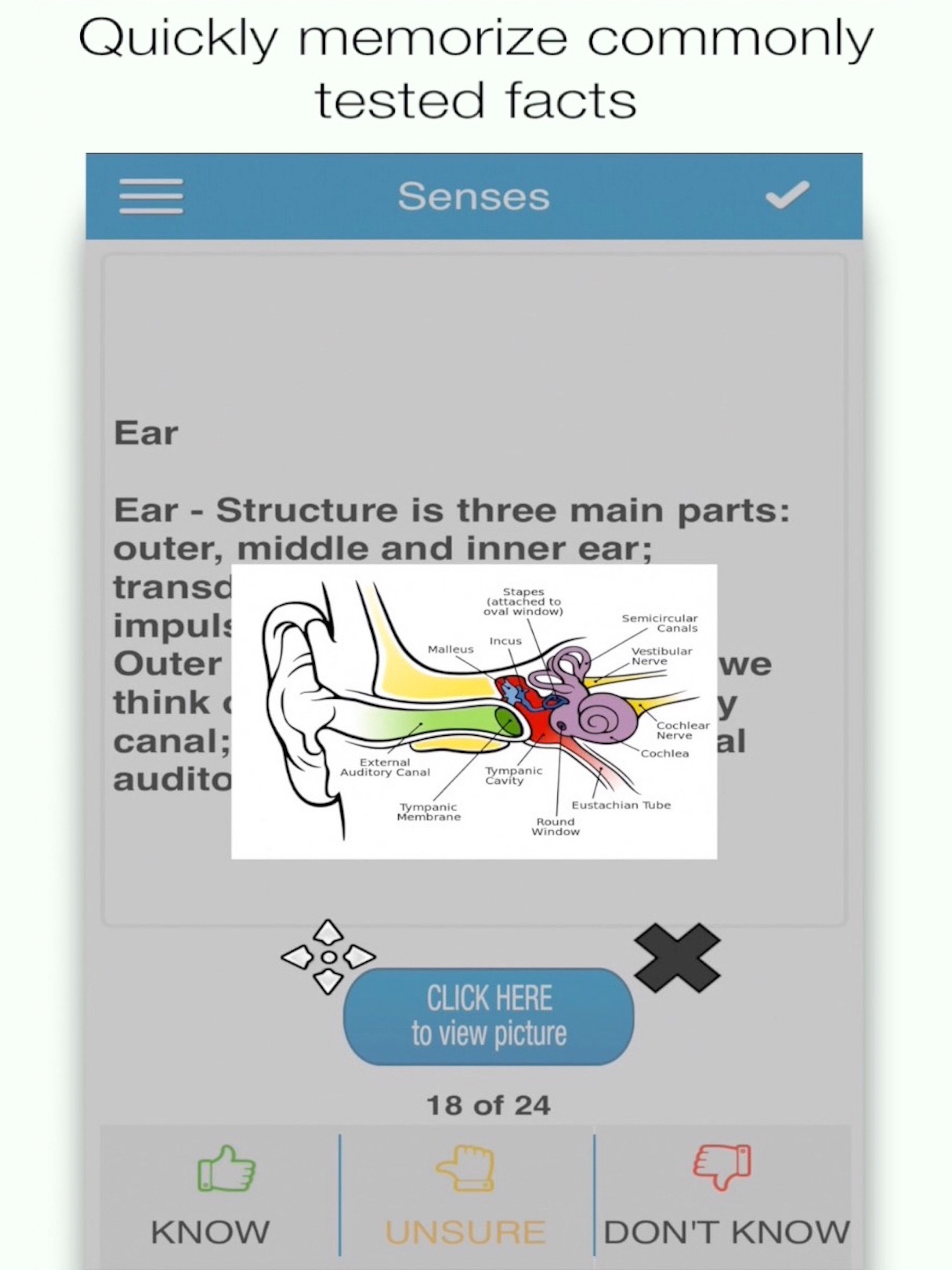 MCAT Biology Cram Cards screenshot 8