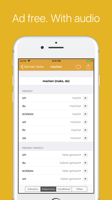 German Verb Conjugator Pro Screenshot