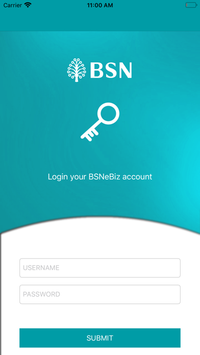 BSNeBiz Mobile- Corporate User Screenshot