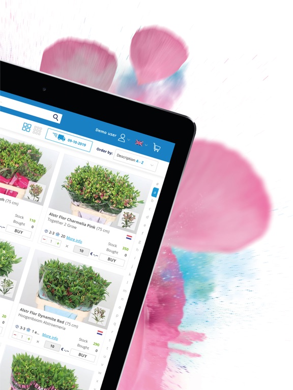 Screenshot #5 pour Hoek Flowers