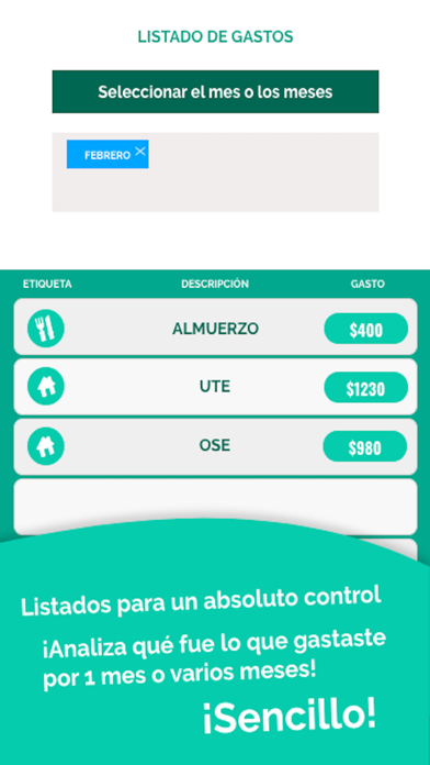 Screenshot #3 pour Gastos Manager