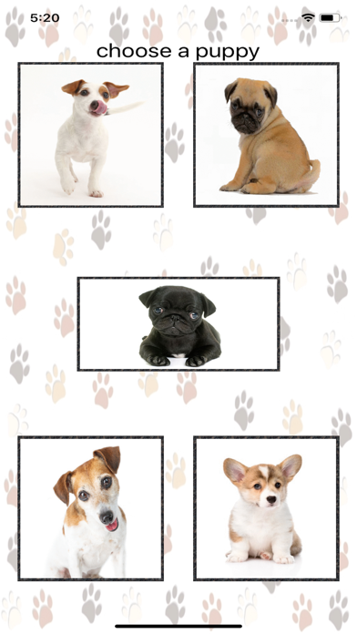 Puppy Screen Cleaner iPhone screenshot 1 - Entertainment app