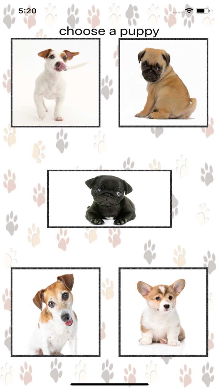 Puppy Screen Cleaner