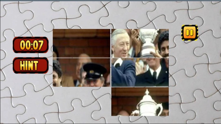 Cricket Puzzle Arcade Game