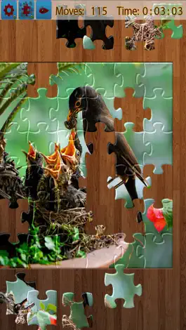 Game screenshot Birds Jigsaw Puzzles - Titan mod apk