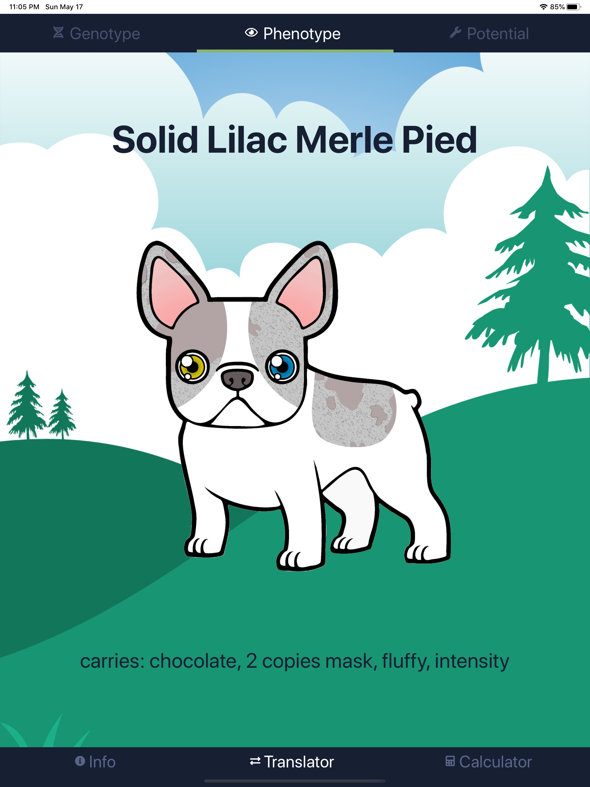 ColorMyFrenchie