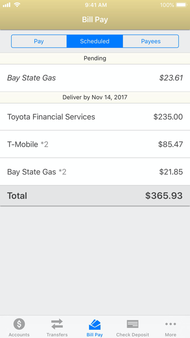 SJN Bank of Kansas Screenshot