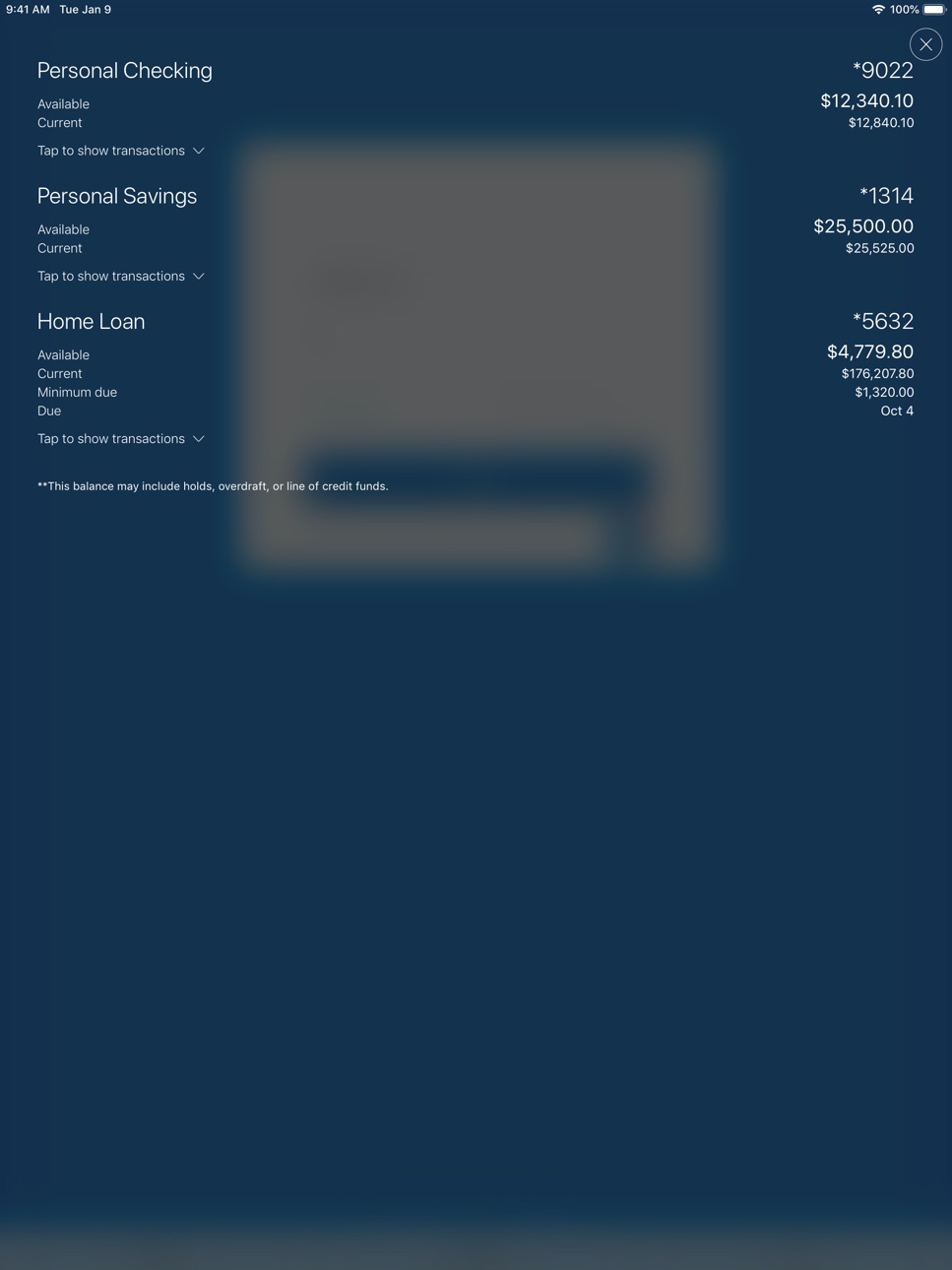 iPad screenshot