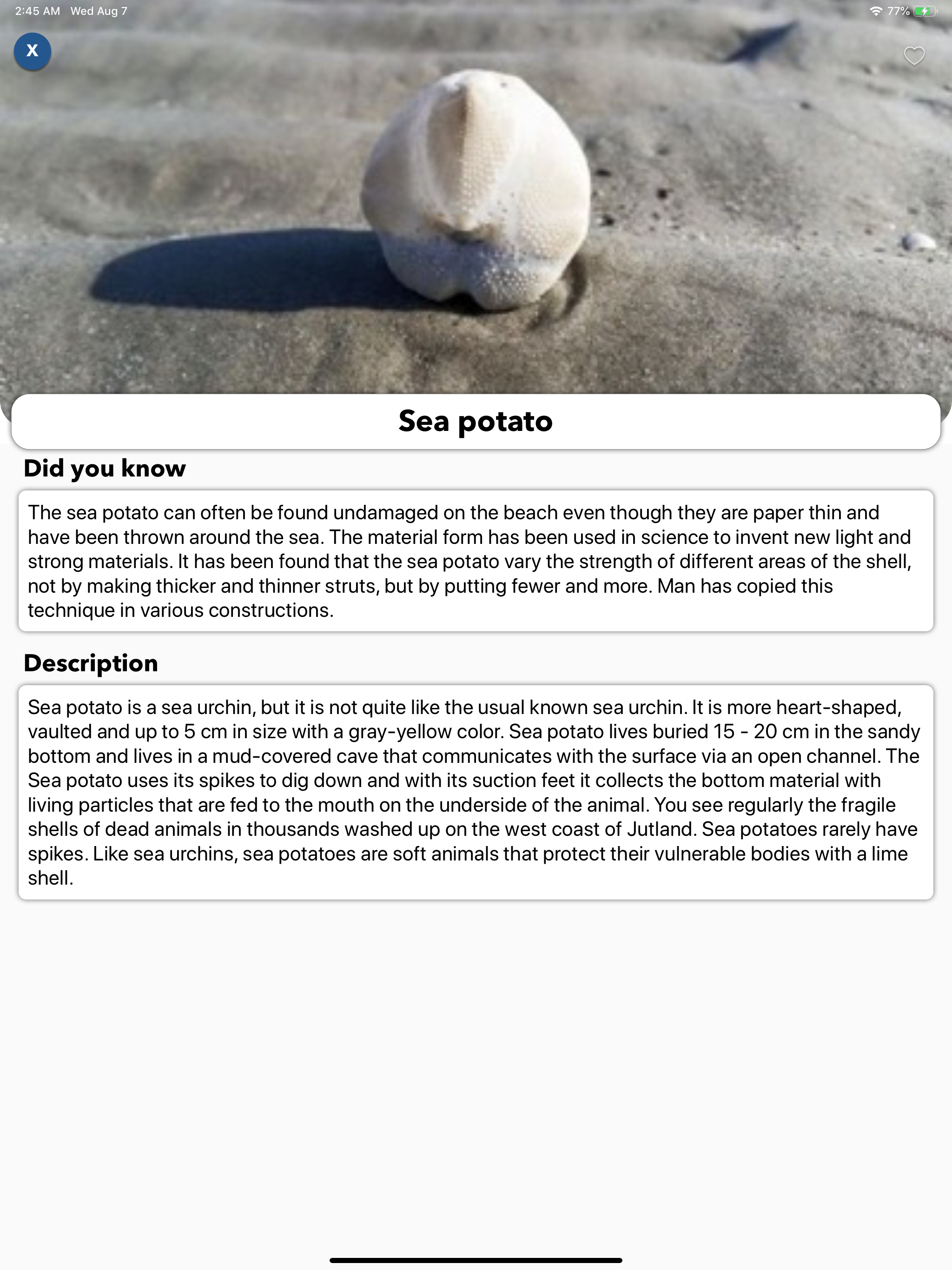 Beach Detector - Your guide screenshot 7