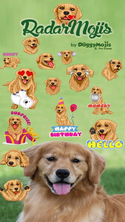 RadarMojis - Golden Retriever