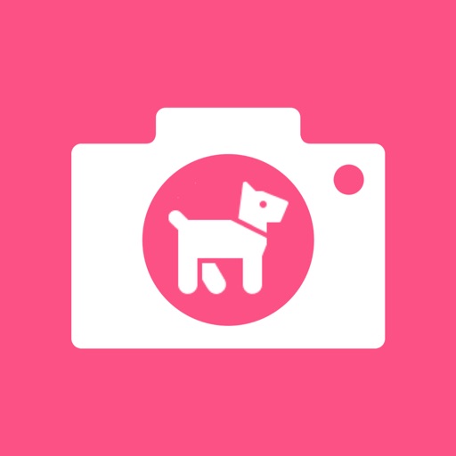 Bark Camera For Dog by Rock Kang